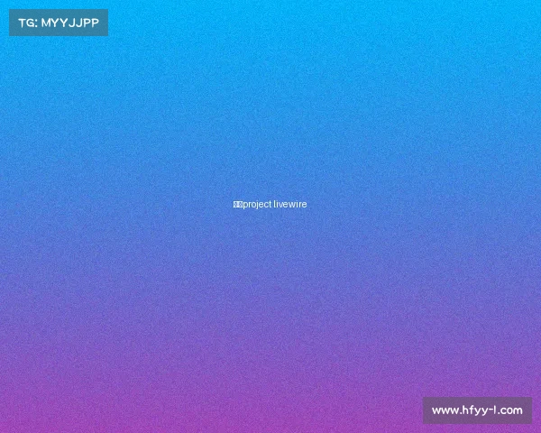 哈雷project livewire